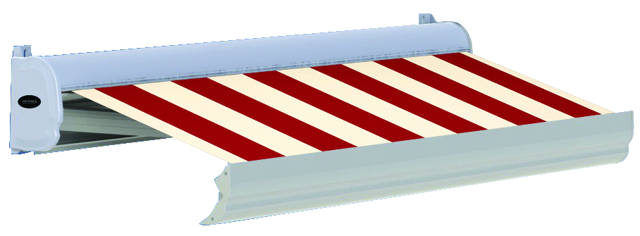 T1019